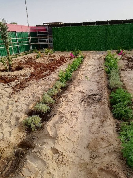 تنسيق حدائق