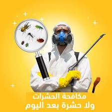 مكافحة حشرات الكويت 92231375